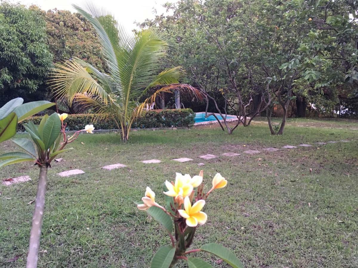 Native House With Beautiful Pool Vila Bagac Exterior foto